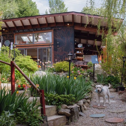 DianeWalters_May2023Photos-132